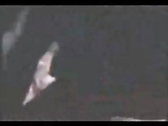 Fucking huge boobs sexy tamil aunty in blue saree